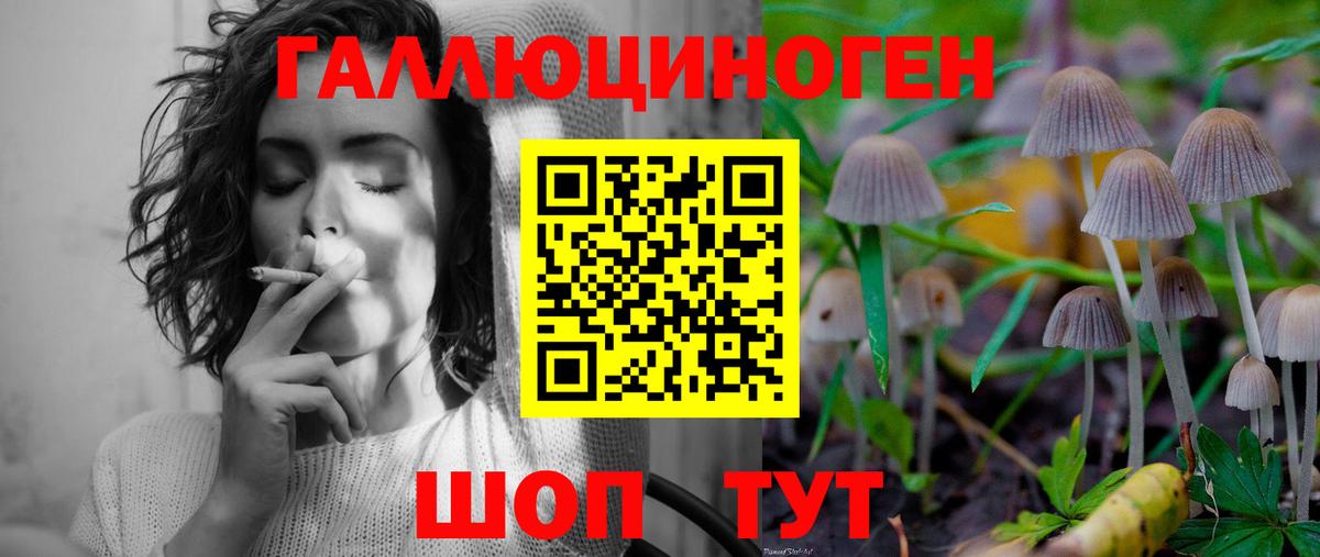 Псилоцибиновые грибы Psilocybe Балашиха
