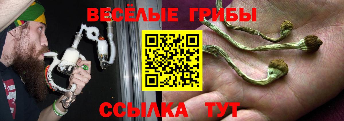 Псилоцибиновые грибы Psilocybe  наркошоп  Псилоцибиновые грибы Psilocybine cubensis  Балашиха  Вход с VPN 